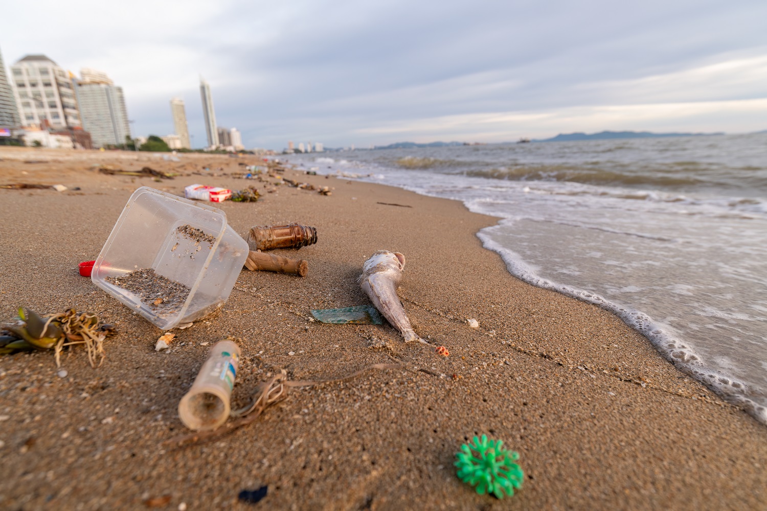 How LEGO Pieces Lost at Sea can Teach Us About Plastic Pollution